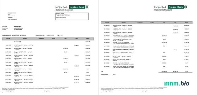 Sri Lanka Amana Bank szablon w formacie excel pdf